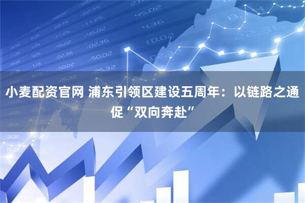 小麦配资官网 浦东引领区建设五周年：以链路之通促“双向奔赴”