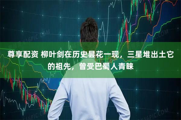 尊享配资 柳叶剑在历史昙花一现，三星堆出土它的祖先，曾受巴蜀人青睐