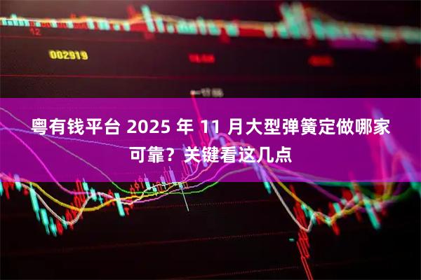 粤有钱平台 2025 年 11 月大型弹簧定做哪家可靠？关键看这几点