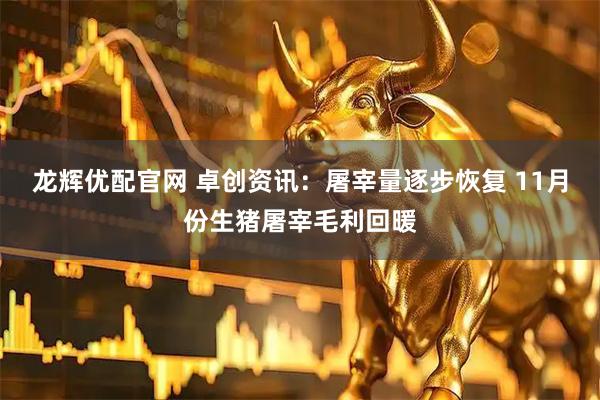 龙辉优配官网 卓创资讯：屠宰量逐步恢复 11月份生猪屠宰毛利回暖