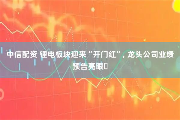 中信配资 锂电板块迎来“开门红”, 龙头公司业绩预告亮眼‌