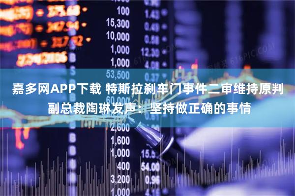 嘉多网APP下载 特斯拉刹车门事件二审维持原判 副总裁陶琳发声：坚持做正确的事情