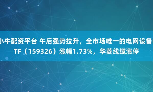 小牛配资平台 午后强势拉升，全市场唯一的电网设备ETF（159326）涨幅1.73%，华菱线缆涨停