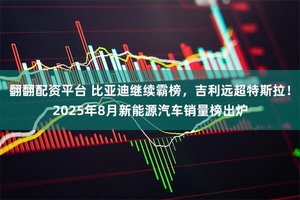 翻翻配资平台 比亚迪继续霸榜，吉利远超特斯拉！2025年8月新能源汽车销量榜出炉