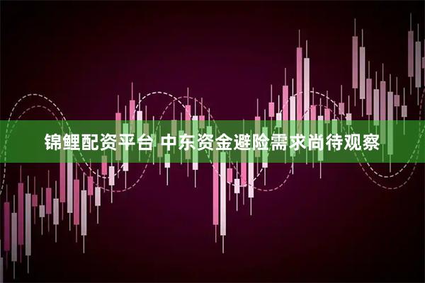 锦鲤配资平台 中东资金避险需求尚待观察